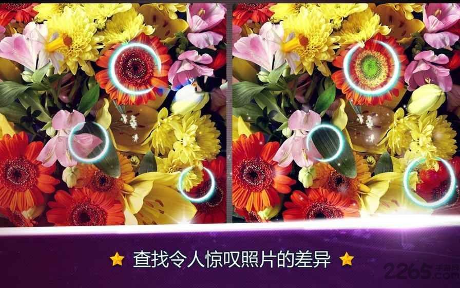 寻找区别花卉手机版下载,寻找区别花卉,找茬游戏,闯关游戏