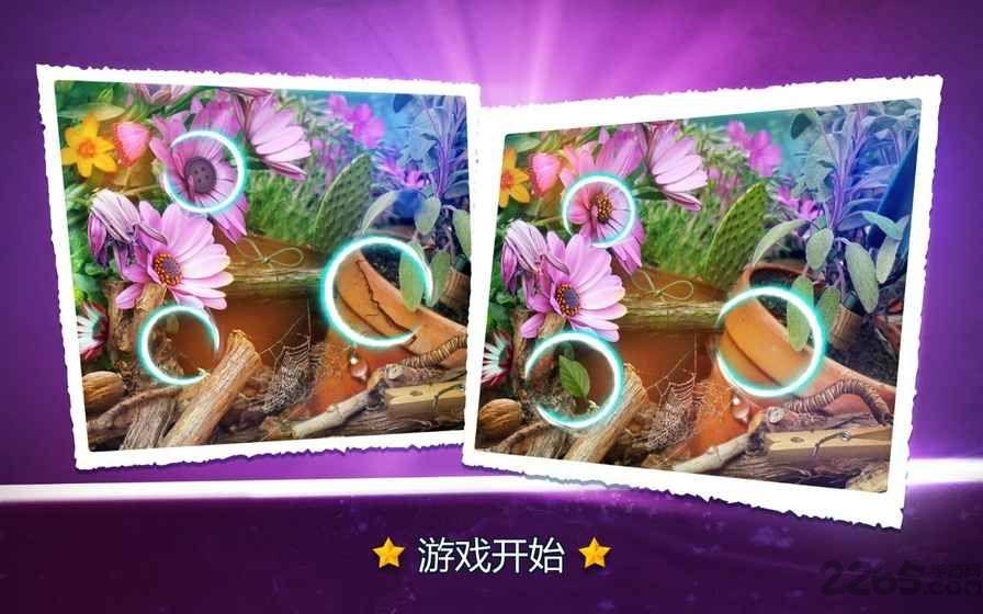 寻找区别花卉手机版下载,寻找区别花卉,找茬游戏,闯关游戏