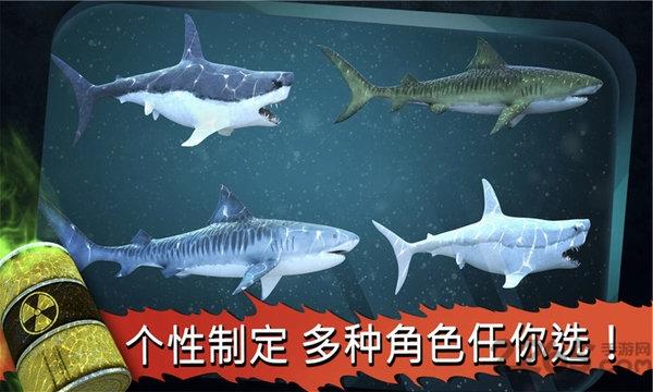 鲨鱼饿了手机版下载,鲨鱼饿了,鲨鱼游戏,生存游戏