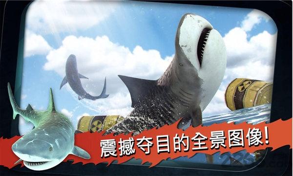 鲨鱼饿了手机版下载,鲨鱼饿了,鲨鱼游戏,生存游戏